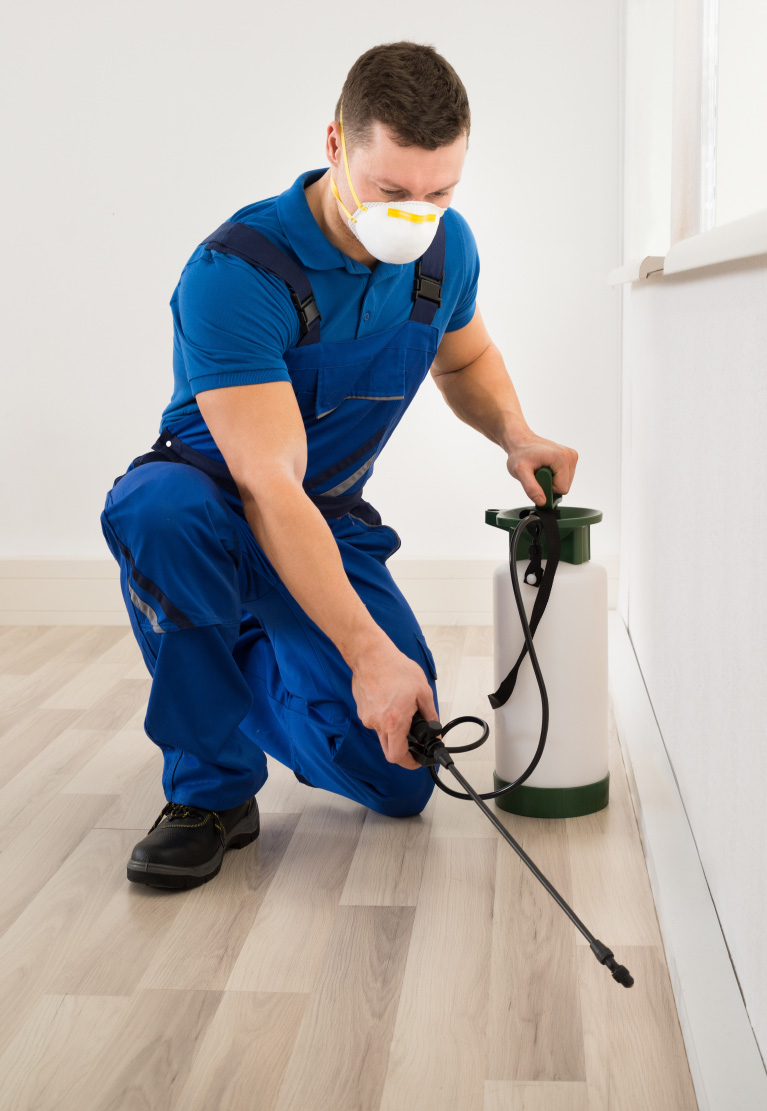 Pest control worker in blue overalls and a face mask spraying along a baseboard