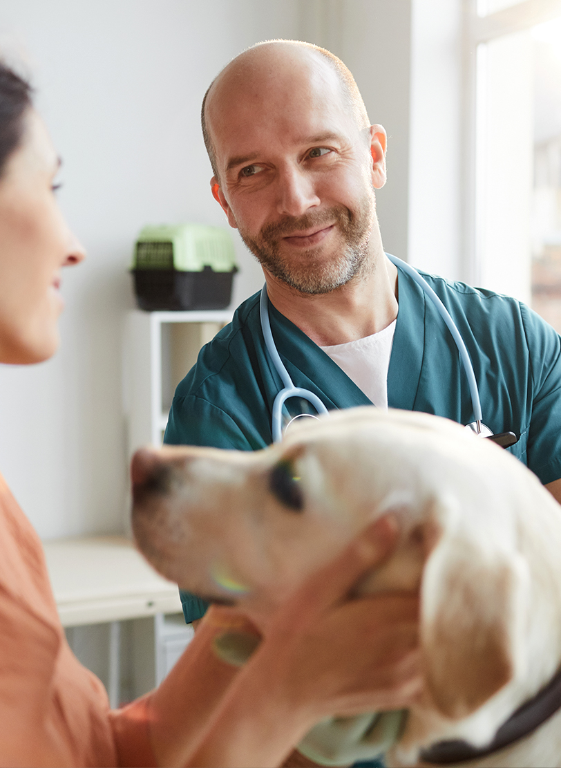 Veterinarian in teal scrubs smiling at a woman holding a yellow Labrador in an exam room