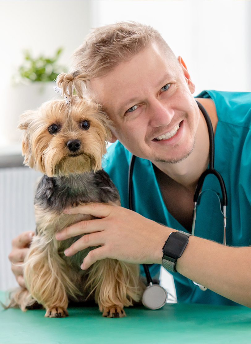 Veterinarian in teal scrubs with a stethoscope smiling beside a Yorkshire terrier on an exam table